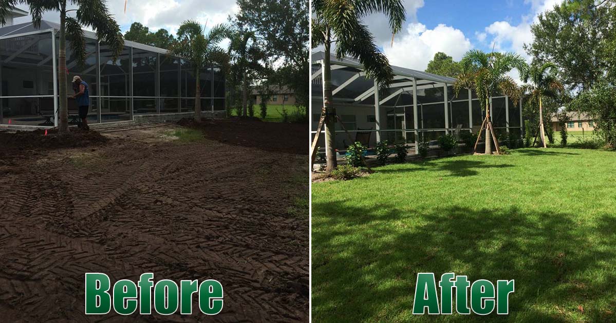 New landscaping resod before and after