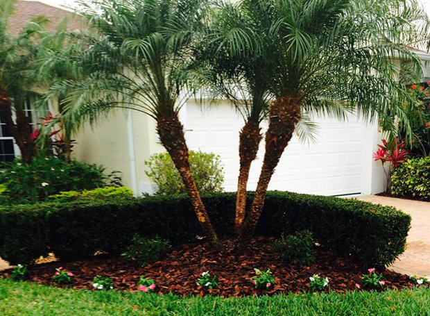 bradenton Florida lawn landscape service